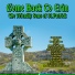 The Friendly Sons of St.Patrick