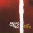 Nenad Vasilic Trio