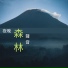小爱摇篮曲