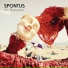Spontus
