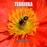 TERRIOXA
