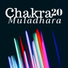 Pendulo Chakras