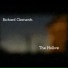 Richard Clements feat. Ruth McGill