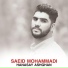 Saeid Mohammadi