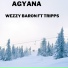 Wezzy Baron feat. Tripps