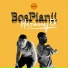 BosPianii feat. Reality Muso, Timotone