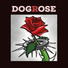Dogrose