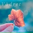 Vädret