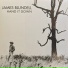 James Blundell