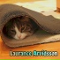 Laurance Arvidsson