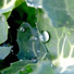 Ambientalism, Soothing Baby Music, Rain Shower Spa