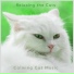 Calming Cat Music