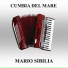 Mario Sibilia
