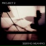 Project 2