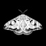Pinion