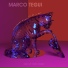 Marco Tegui