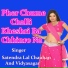 Satendra Lal Chauhan, Vidyasagar