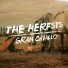 The Herfsts