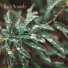 Rain Sounds