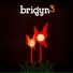 Brigyn