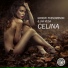 Groove Phenomenon, Jan Vega