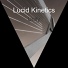 Lucid Kinetics