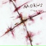Morus