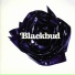 Blackbud