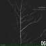 Guidewire