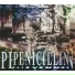 PENICILLIN