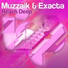 Muzzaik & Exacta