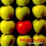 Phunk Floyd
