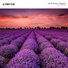 violetic, flavorce, Slowberry