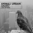 Animali Urbani