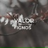 Ignos