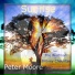 Peter Moore