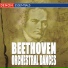 Bratislava Chamber Orchestra Vlastimil Horak