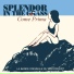 Splendor In The Grass