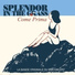 Splendor In The Grass