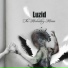 Luzid