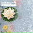 Entspannende SPA Musik Zone
