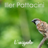 Iller Pattacini