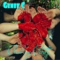Genee C