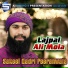 Sakeel Qadri Peeranwala