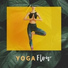 Yoga Flow Maestro