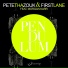 Pete Tha Zouk & First Lane feat. Morgan Karr