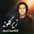Javed Amirkhil