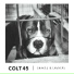 COLT 45