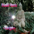 Kuchi Guru