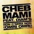 Cheb Mami Feat. Diam's